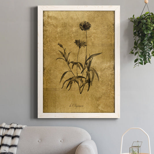 Gold Sketch Botanical I - Barnwood Framed Canvas Print