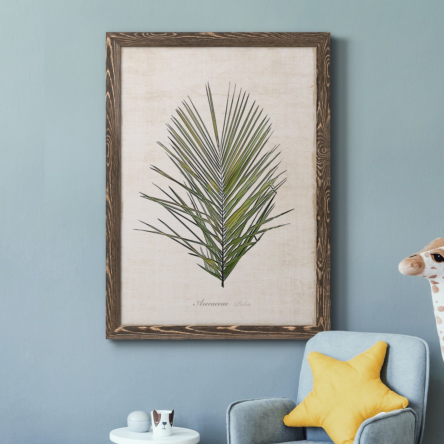 Palm Botanical I - Barnwood Framed Canvas Print