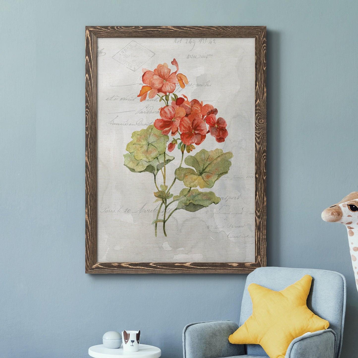 Linen Geranium - Barnwood Framed Canvas Print