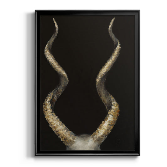 Spiral Antelope Horns -  Framed Canvas Print