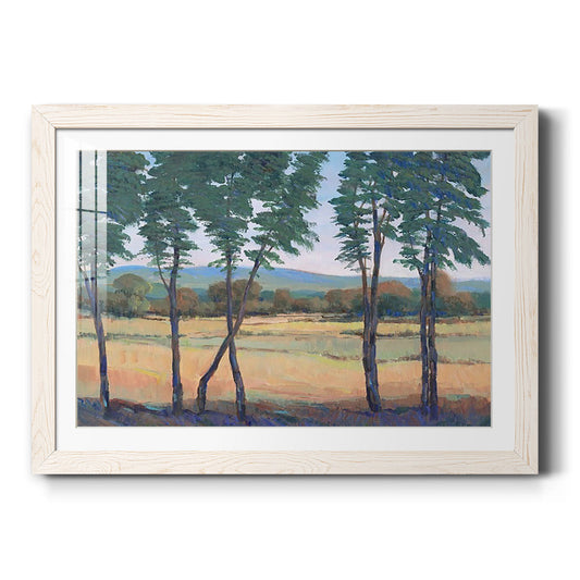 Still Morning I - Barnwood Framed Art Print