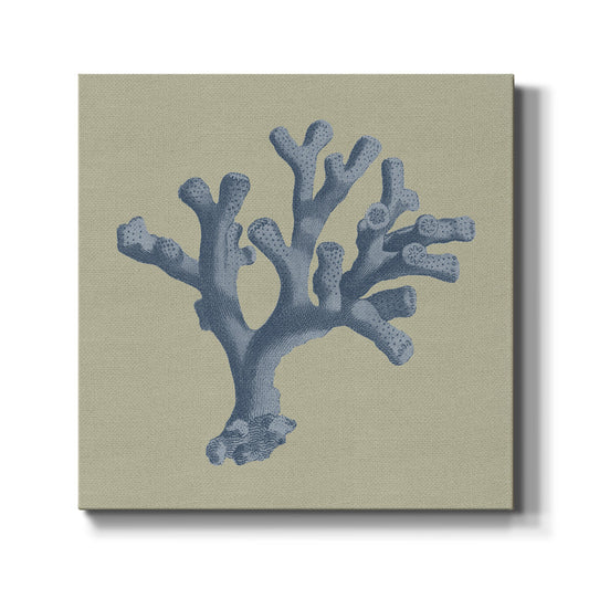 Chambray Coral II - Canvas Art Print
