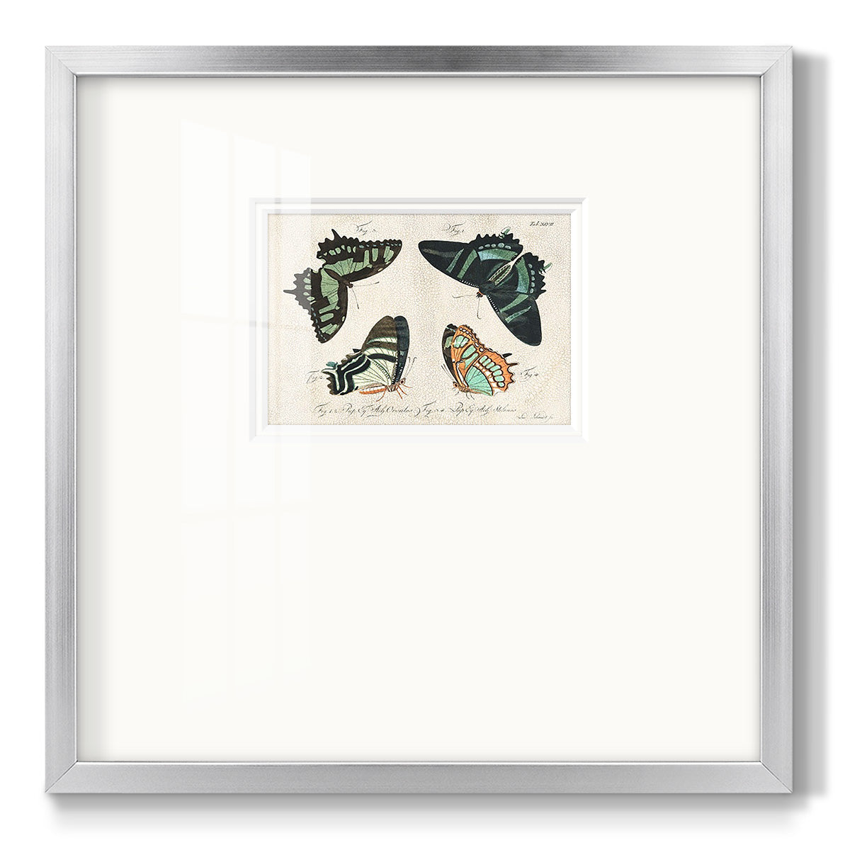 Crackled Butterflies III - Double Matboard Framed Print
