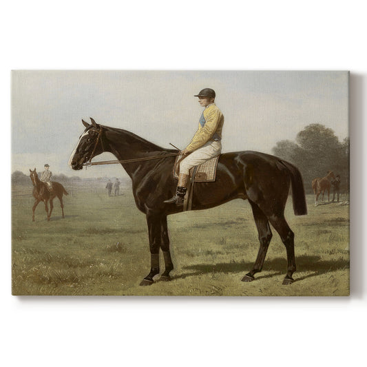 Jockey dressed in yellow sits on a black horse in a serene field during a calm afternoon