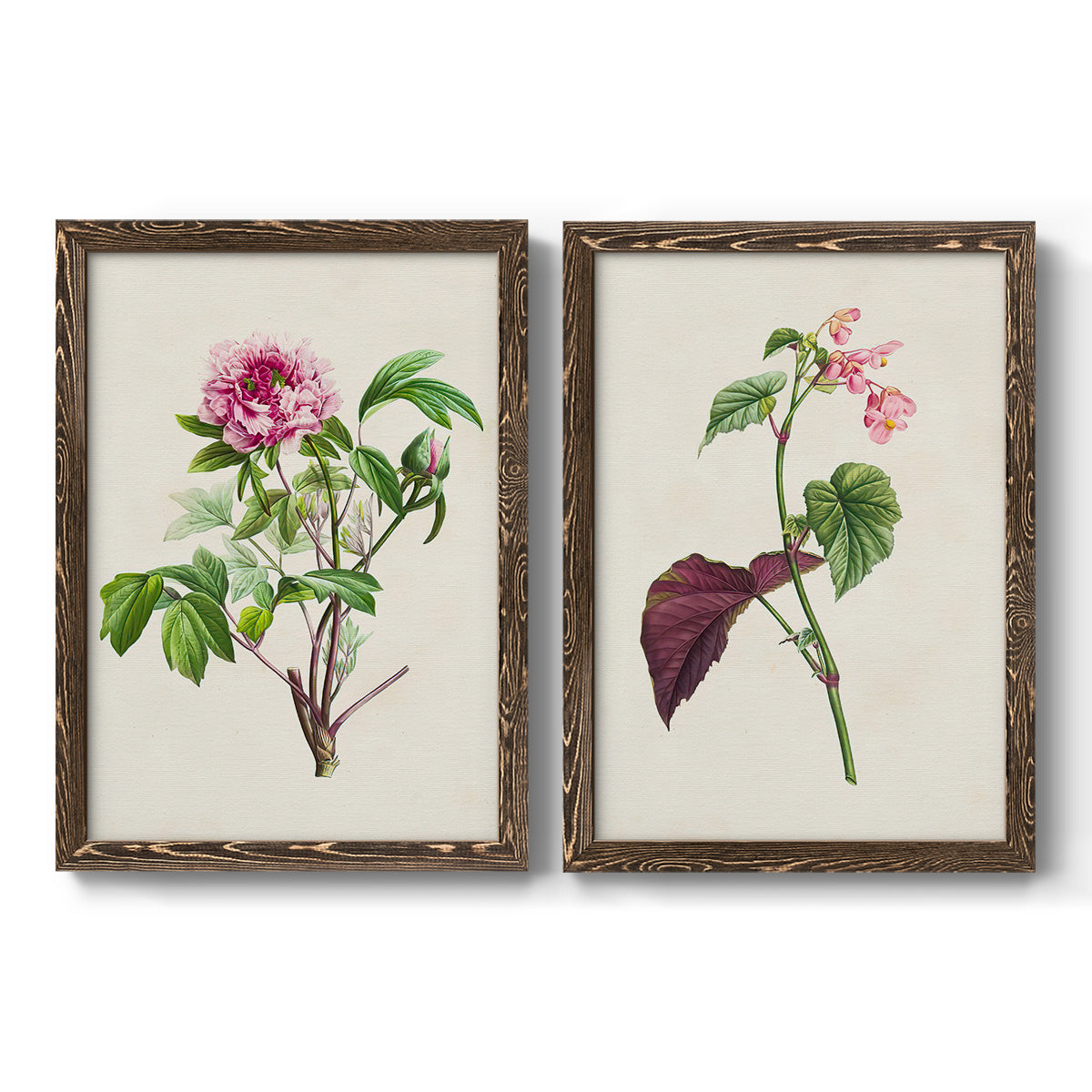 Pretty Pink Botanicals V - Barnwood Framed Canvas Set