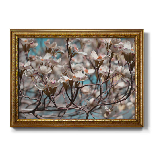 Dogwood Spring I - Ornate Framed Canvas Print