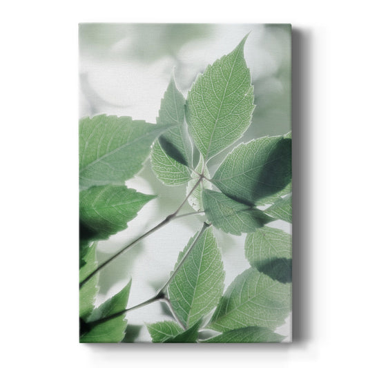 Fields of Green I - Canvas Art Print