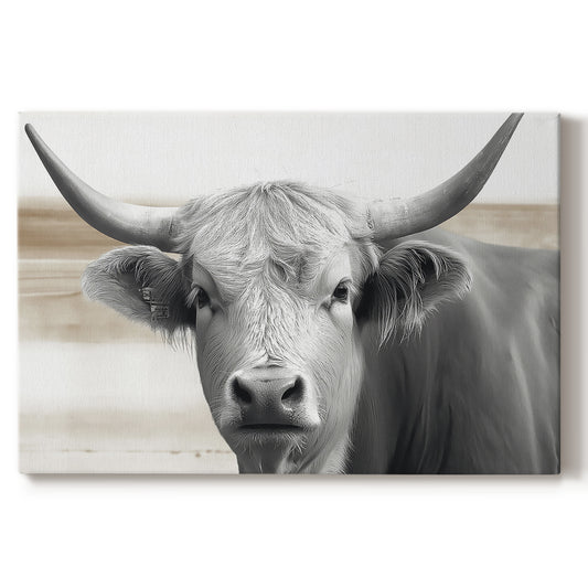 bull,cattle,farm,animal,Gray,horns,rural,agriculture,livestock,nature,close-up,outdoors,dairy,domestic,portrait,wildlife,fauna,field,strong,horned animal,countryside,bovine,sunny,animal features,serene,habitat,traditional,peaceful,livestock farming,farming culture,sustainable,grazing,animal husbandry,natural environment,texture,details