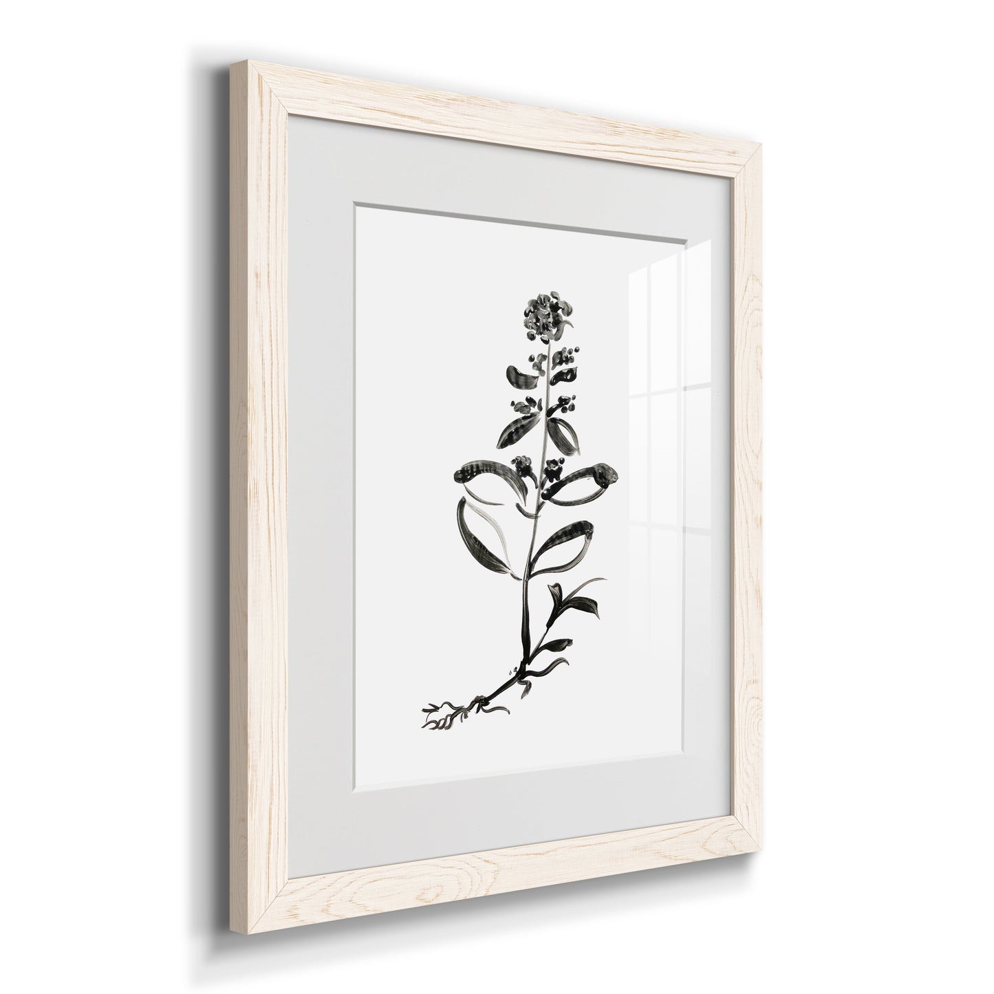 Inky Botanical III - Barnwood Framed Art Print
