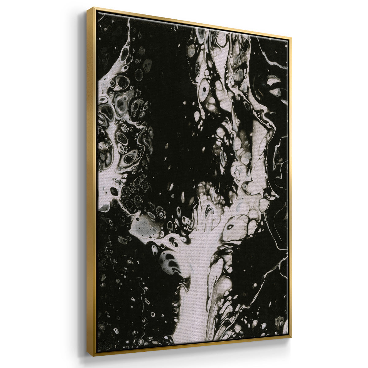 C37 - Floater Framed Canvas Print