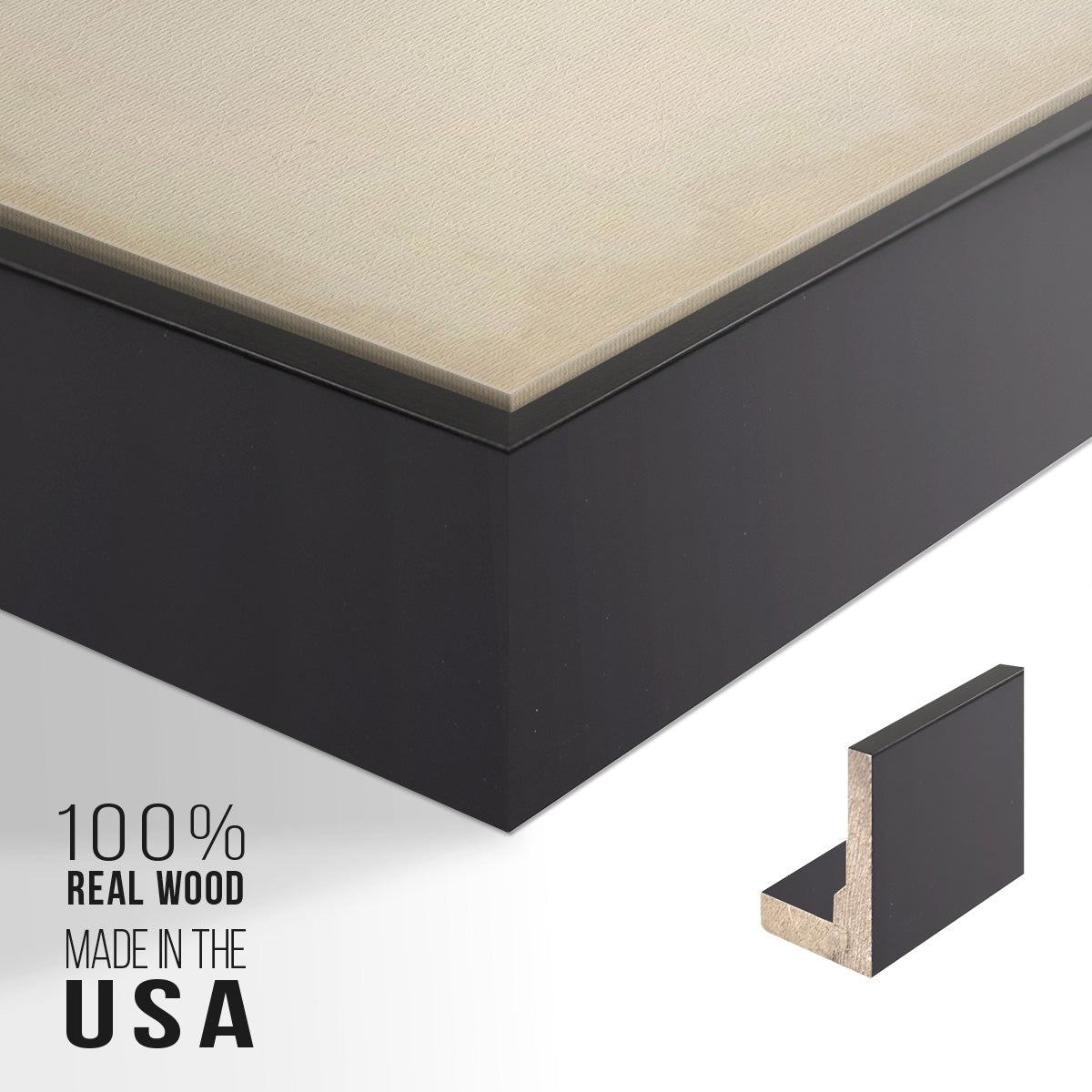 French Owls IV - Floater Framed Canvas Set