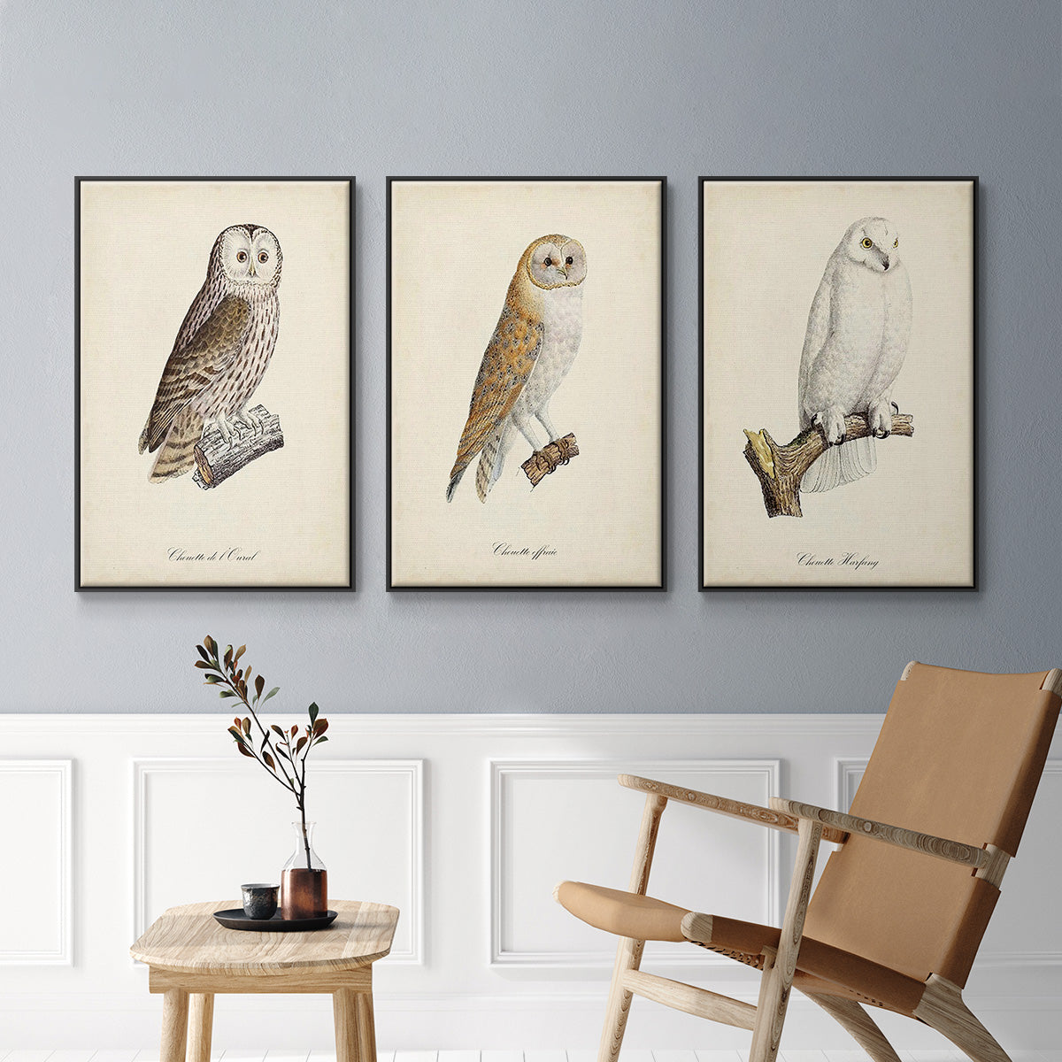 French Owls IV - Floater Framed Canvas Set