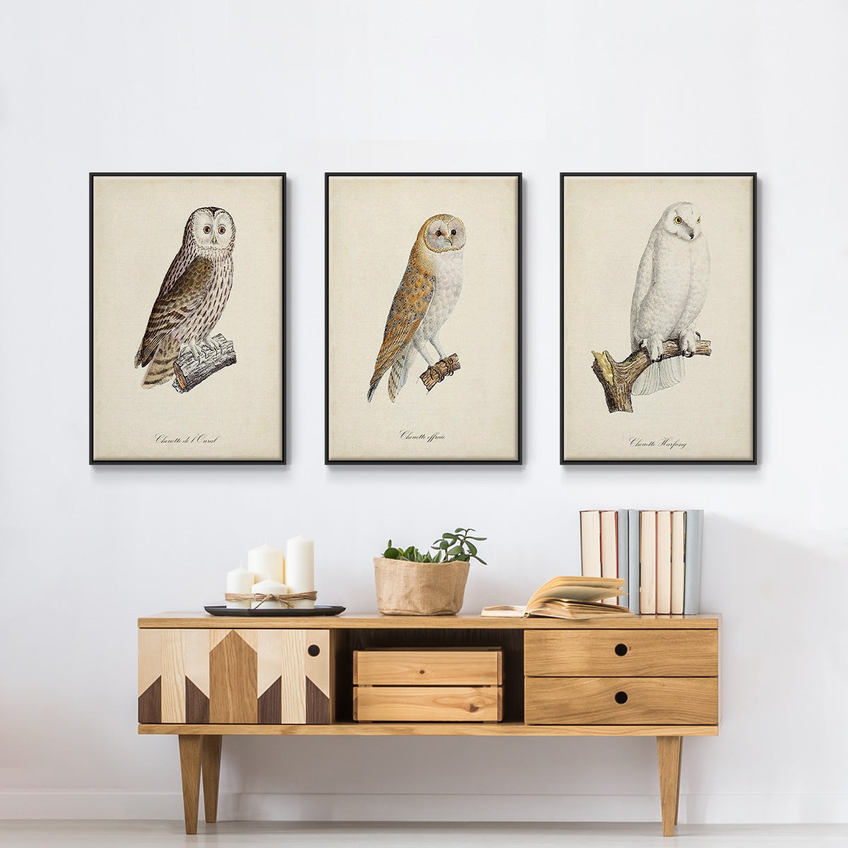 French Owls IV - Floater Framed Canvas Set