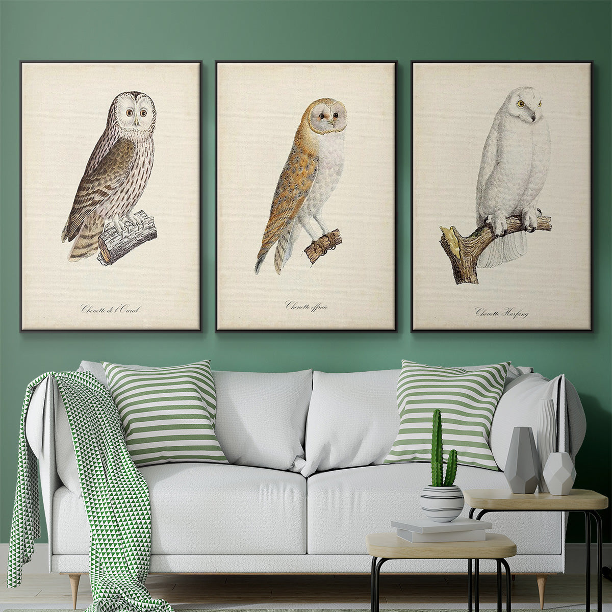 French Owls IV - Floater Framed Canvas Set