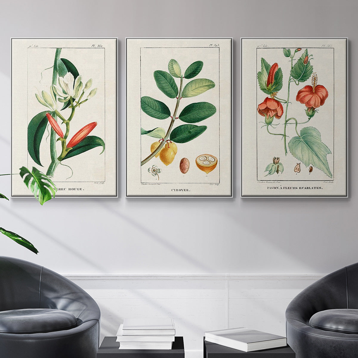Turpin Tropical Botanicals IV - Floater Framed Canvas Set