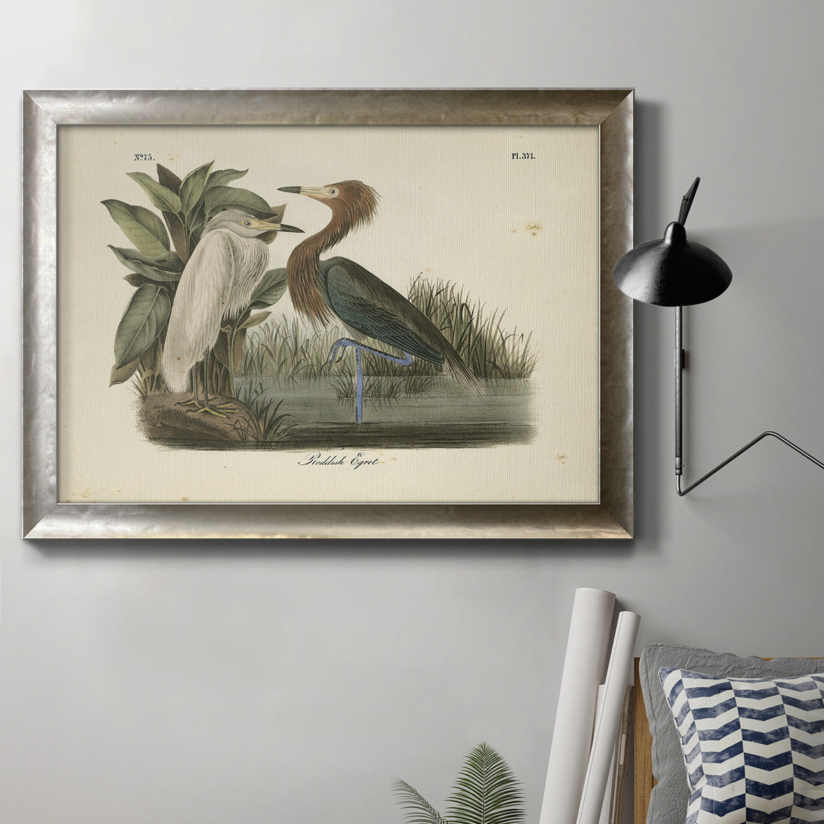 Antique reddish egret bird illustration by John James Audubon in an ornate mottled silver frame displayed in a neutral interior setting.
