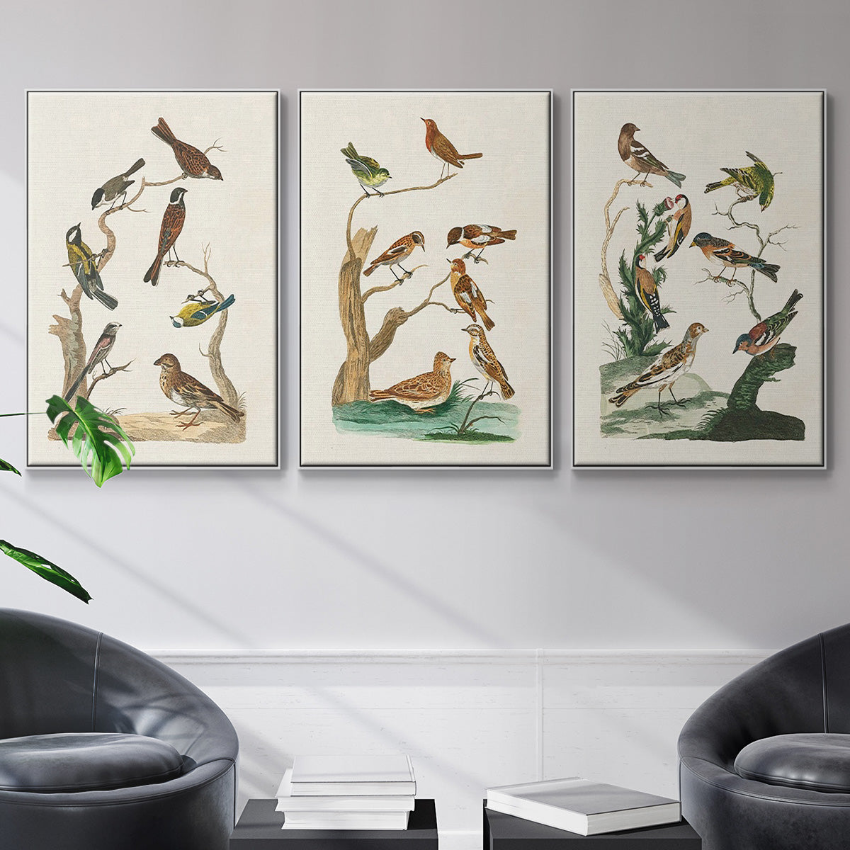 Antique Birds in Nature I - Floater Framed Canvas Set