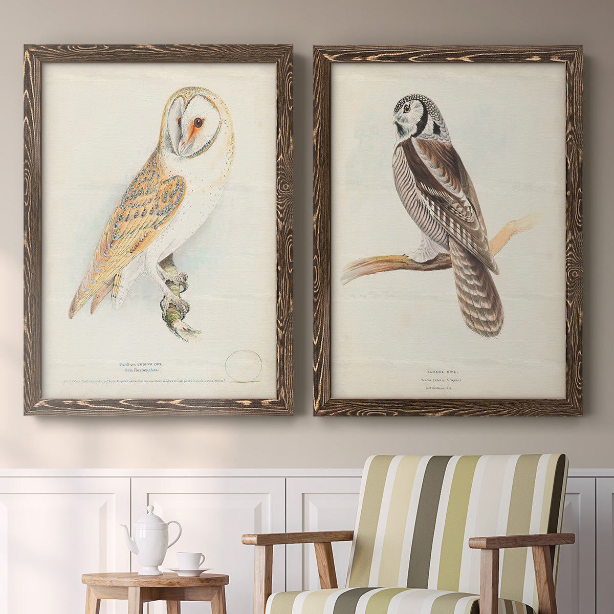 Set of two walnut barnwood framed canvas prints depicting two antique bird plate illustrations featuring vintage owl specimens perched in natural settings above a sideboard in a cozy sitting room.