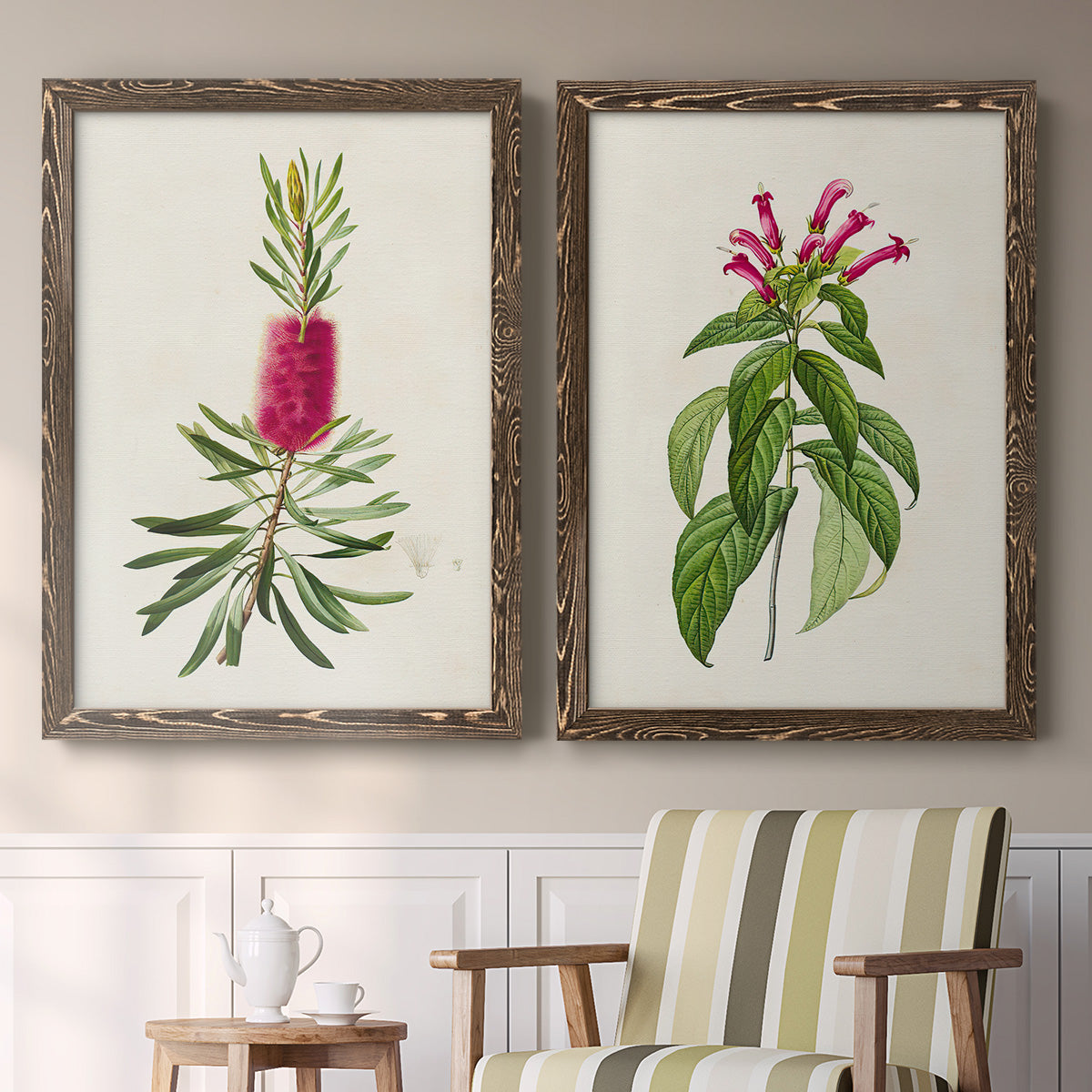 Set of two walnut barnwood framed canvas prints depicting two vintage botanical plate illustrations featuring pink flowering plant specimens above a sideboard in a cozy sitting room.