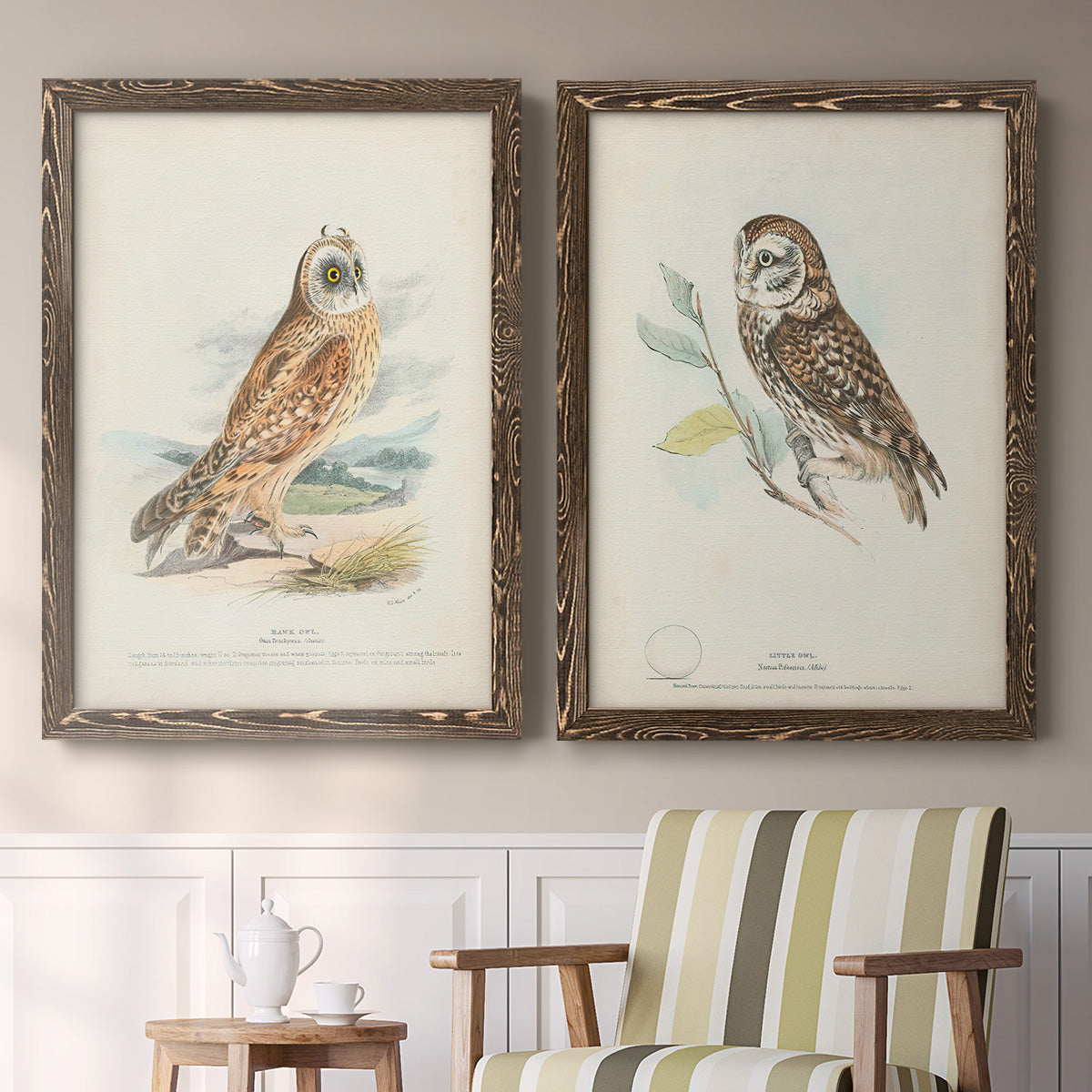 Set of two walnut barnwood framed canvas prints depicting two antique bird plate illustrations featuring vintage owl specimens perched in natural settings above a sideboard in a cozy sitting room.
