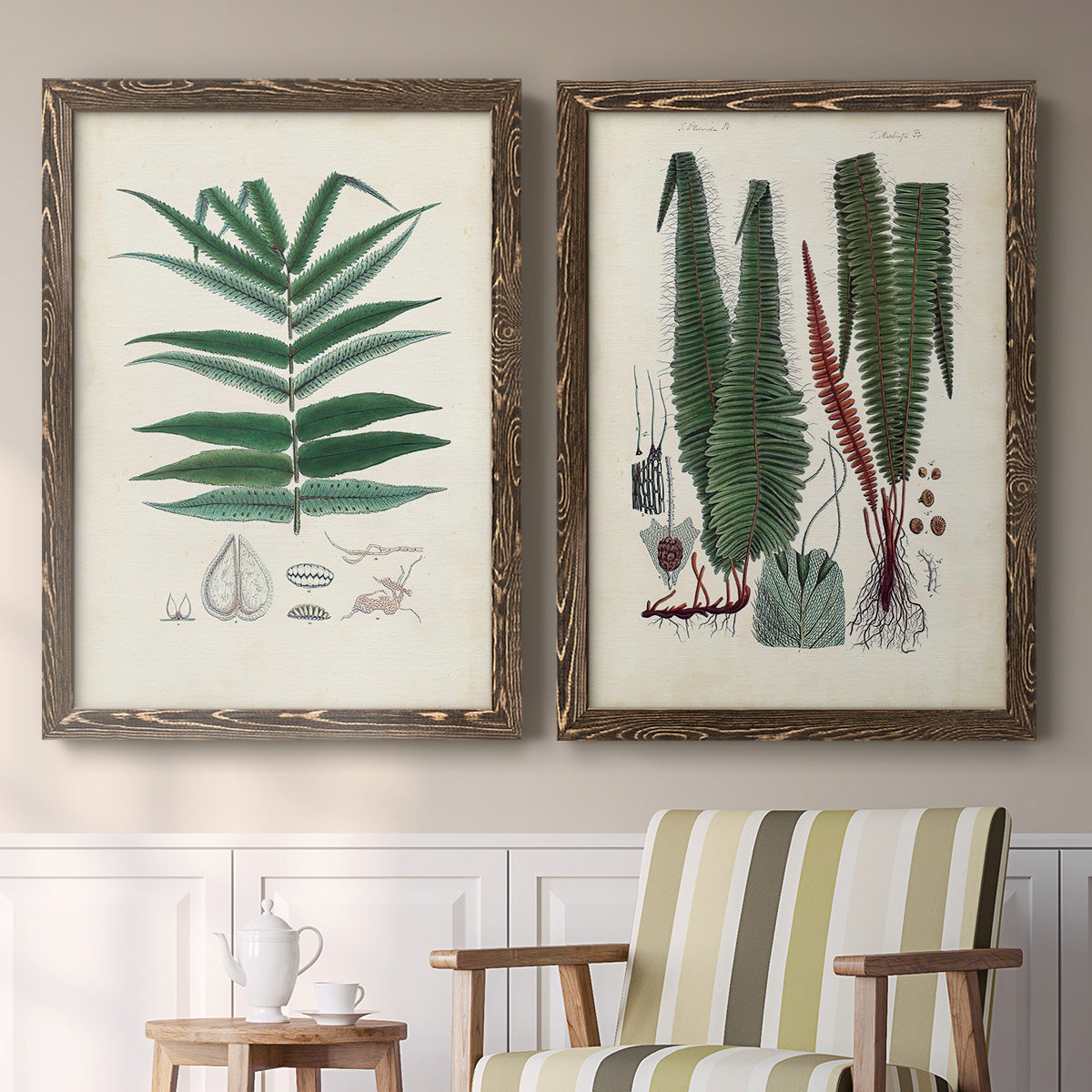Set of two walnut barnwood framed canvas prints depicting two natural-history fern plates featuring vintage fern specimens with botanical details above a sideboard in a cozy sitting room.