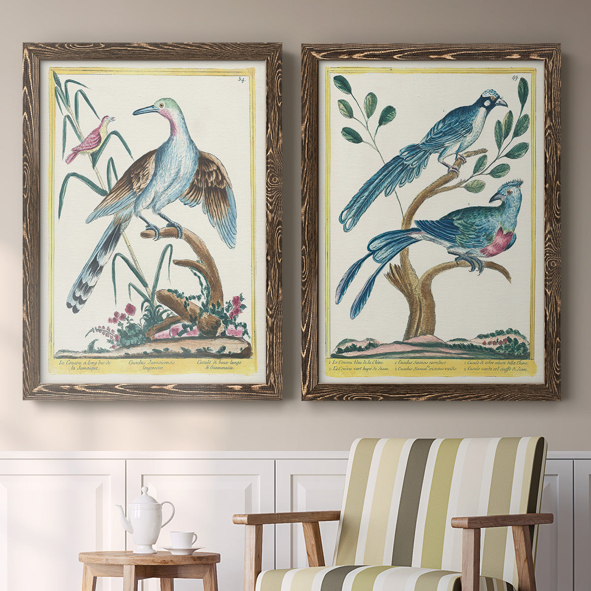 Set of two walnut barnwood framed canvas prints depicting two antique ornithological plate illustrations featuring vintage exotic birds perched in landscape settings above a sideboard in a cozy sitting room.