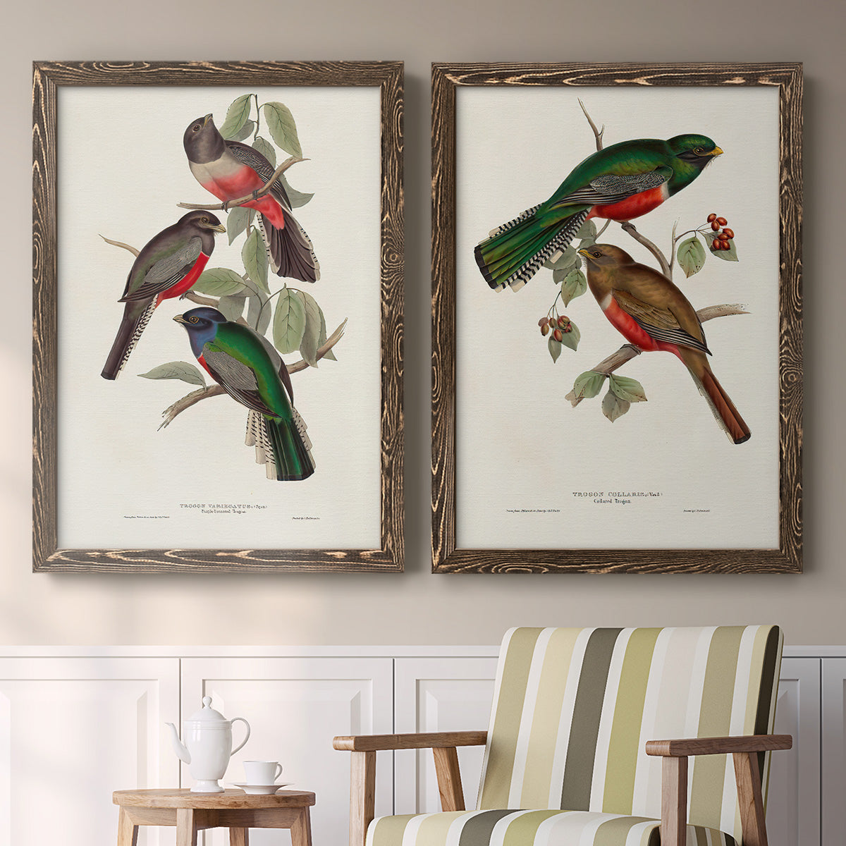 Set of two walnut barnwood framed canvas prints depicting two vintage ornithological illustrations featuring colorful tropical birds perched on leafy branches above a sideboard in a cozy sitting room.