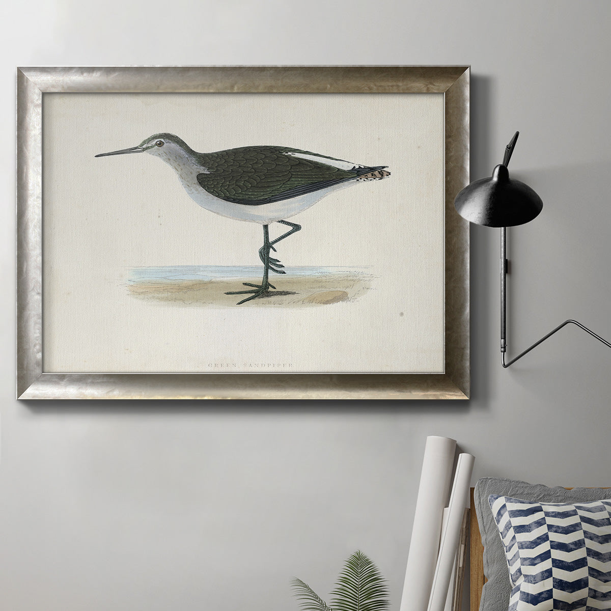 Morris Sandpipers VI - Ornate Framed Canvas Print