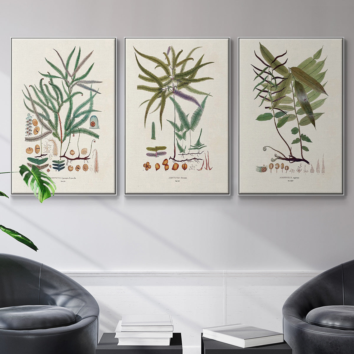 Botanical Society Ferns VI - Floater Framed Canvas Set