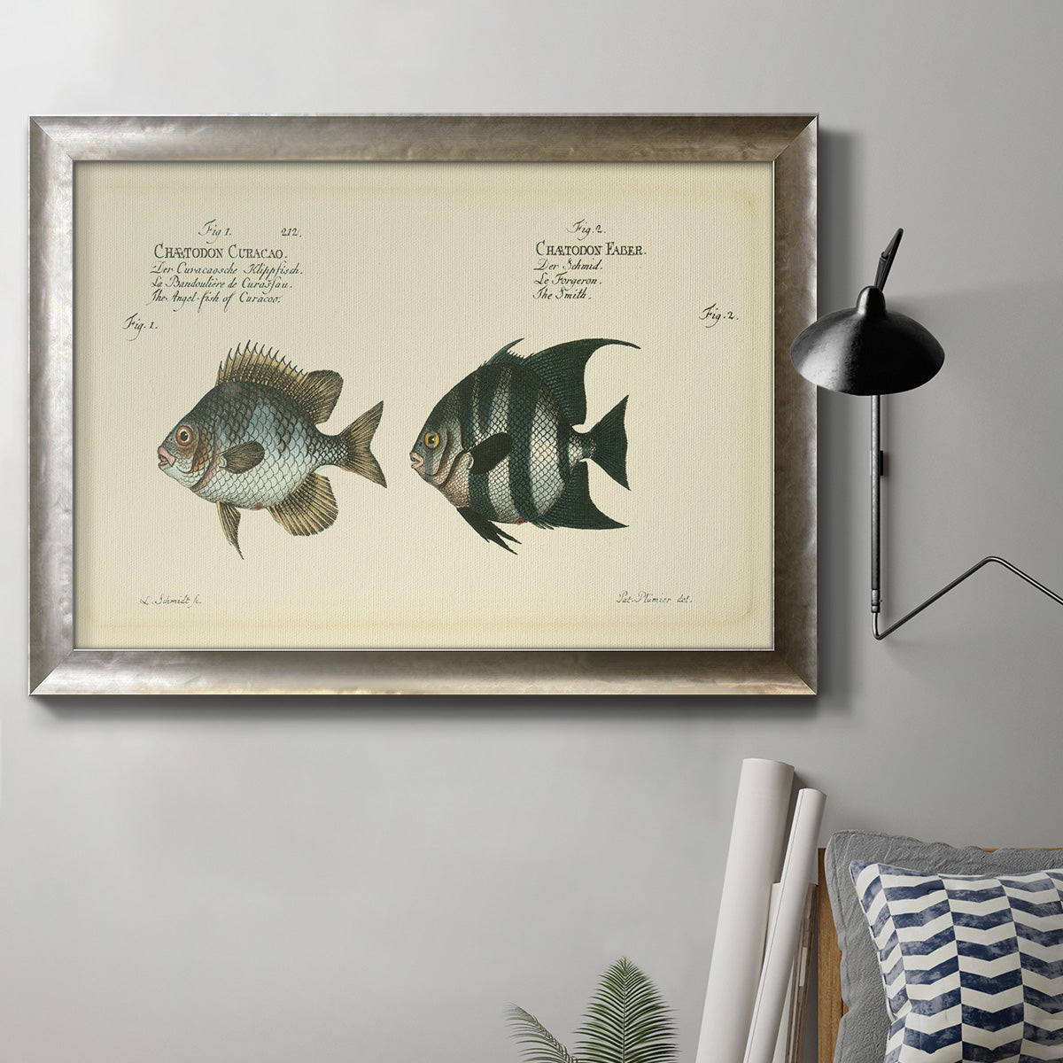 Antique fish chart illustration in an ornate mottled silver frame displayed in a neutral interior setting.