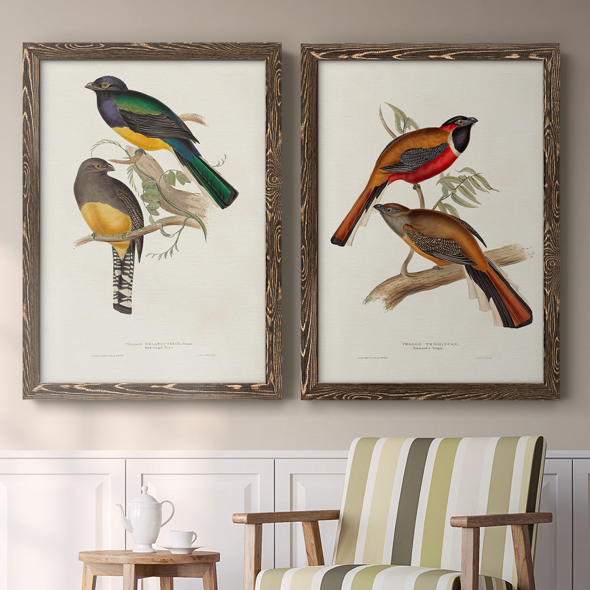 Set of two walnut barnwood framed canvas prints depicting two vintage ornithological illustrations featuring colorful tropical birds perched on leafy branches above a sideboard in a cozy sitting room.