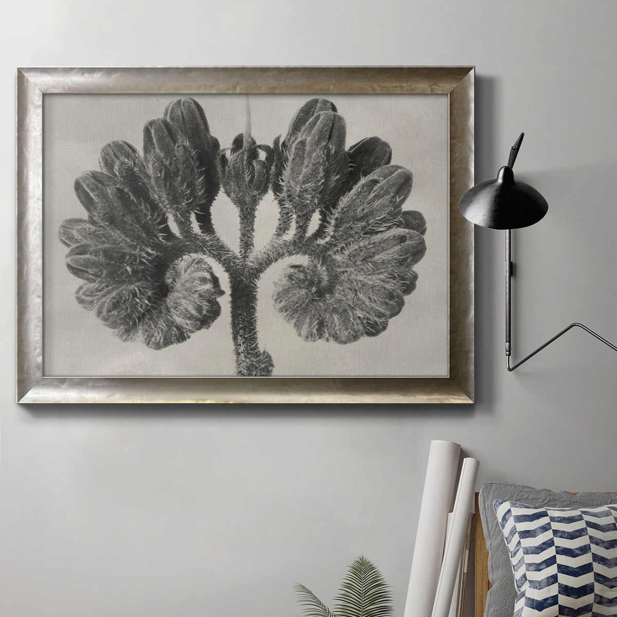 Monochrome botanical plant study photograph by Karl Blossfeldt in an ornate mottled silver frame displayed in a neutral interior setting.