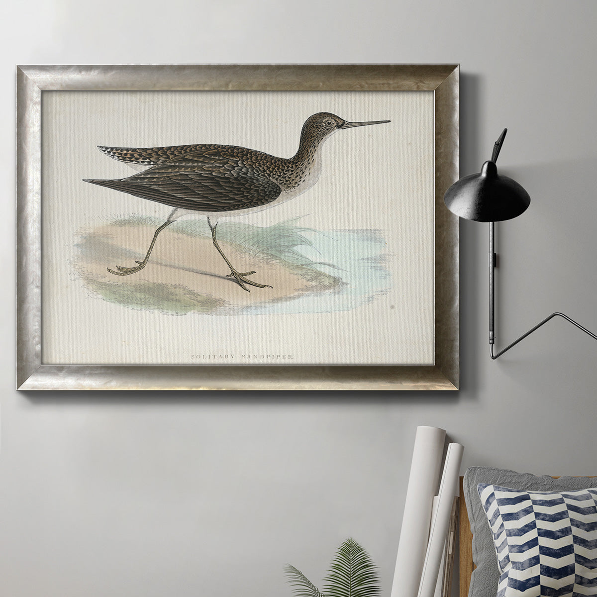 Antique sandpiper bird artwork by William Morris in an ornate mottled silver frame displayed in a neutral interior setting.
