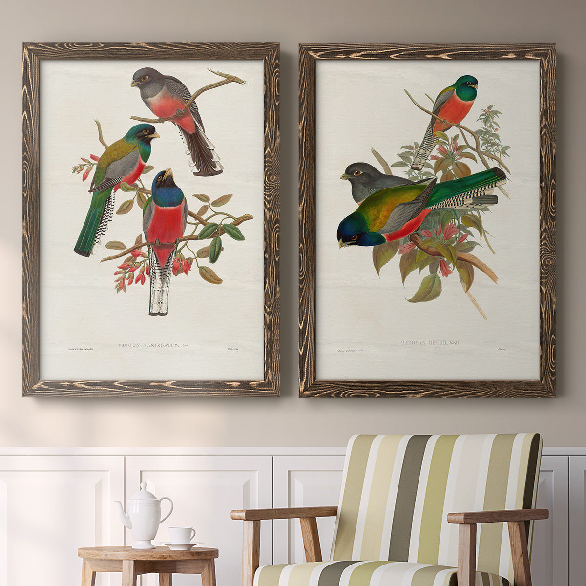 Set of two walnut barnwood framed canvas prints depicting two vintage ornithological illustrations featuring colorful tropical birds perched on leafy branches above a sideboard in a cozy sitting room.