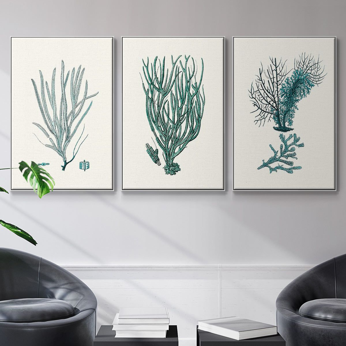 Antique Coastal Coral VI - Floater Framed Canvas Set