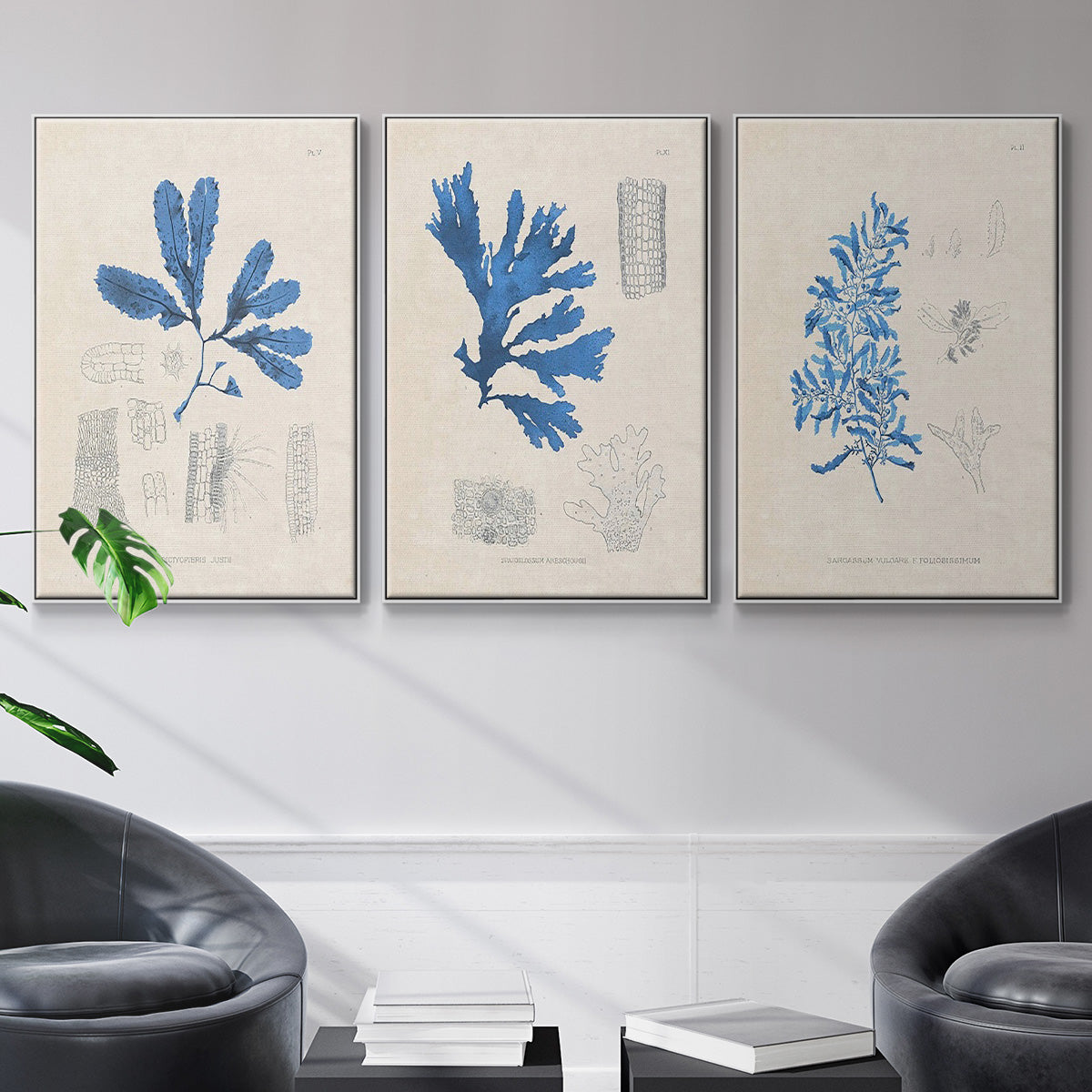 Blue Marine Algae VI - Floater Framed Canvas Set