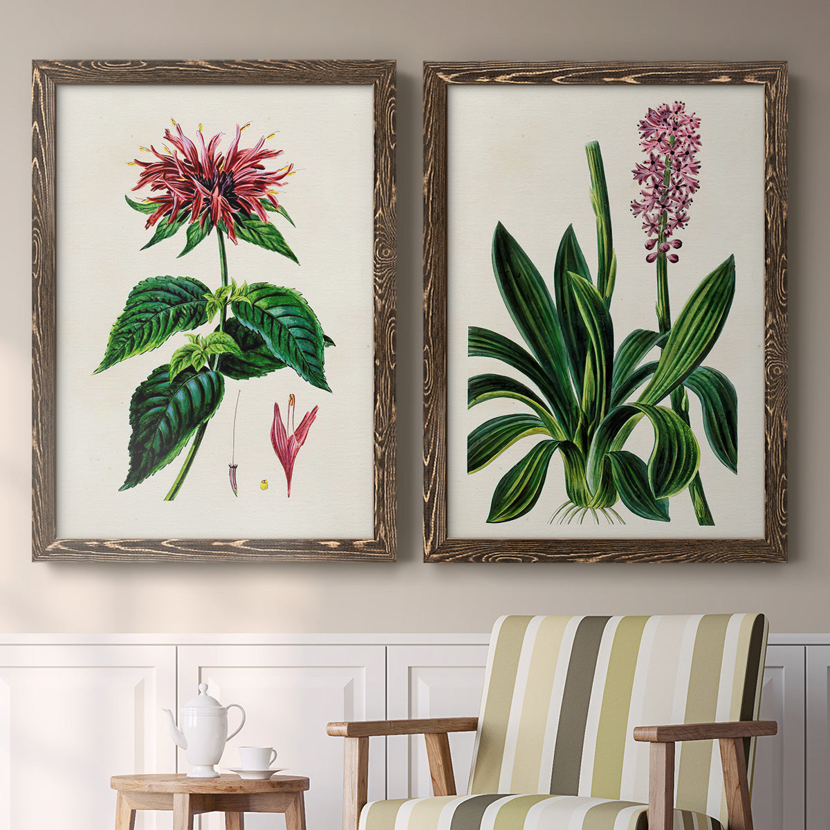 Set of two walnut barnwood framed canvas prints depicting two antique botanical plate illustrations featuring colorful flowering plant specimens above a sideboard in a cozy sitting room.