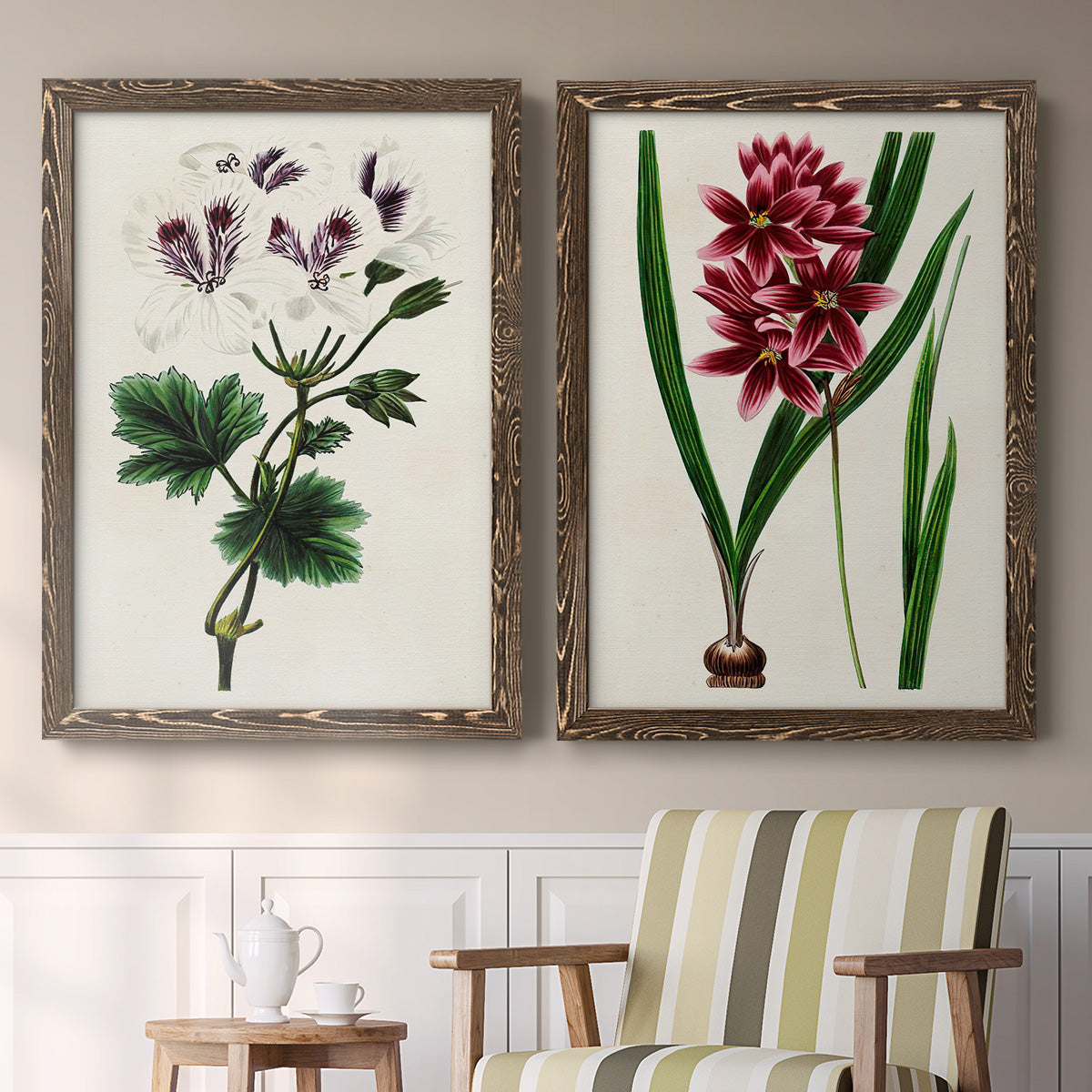 Set of two walnut barnwood framed canvas prints depicting two antique botanical plate illustrations featuring colorful flowering plant specimens above a sideboard in a cozy sitting room.