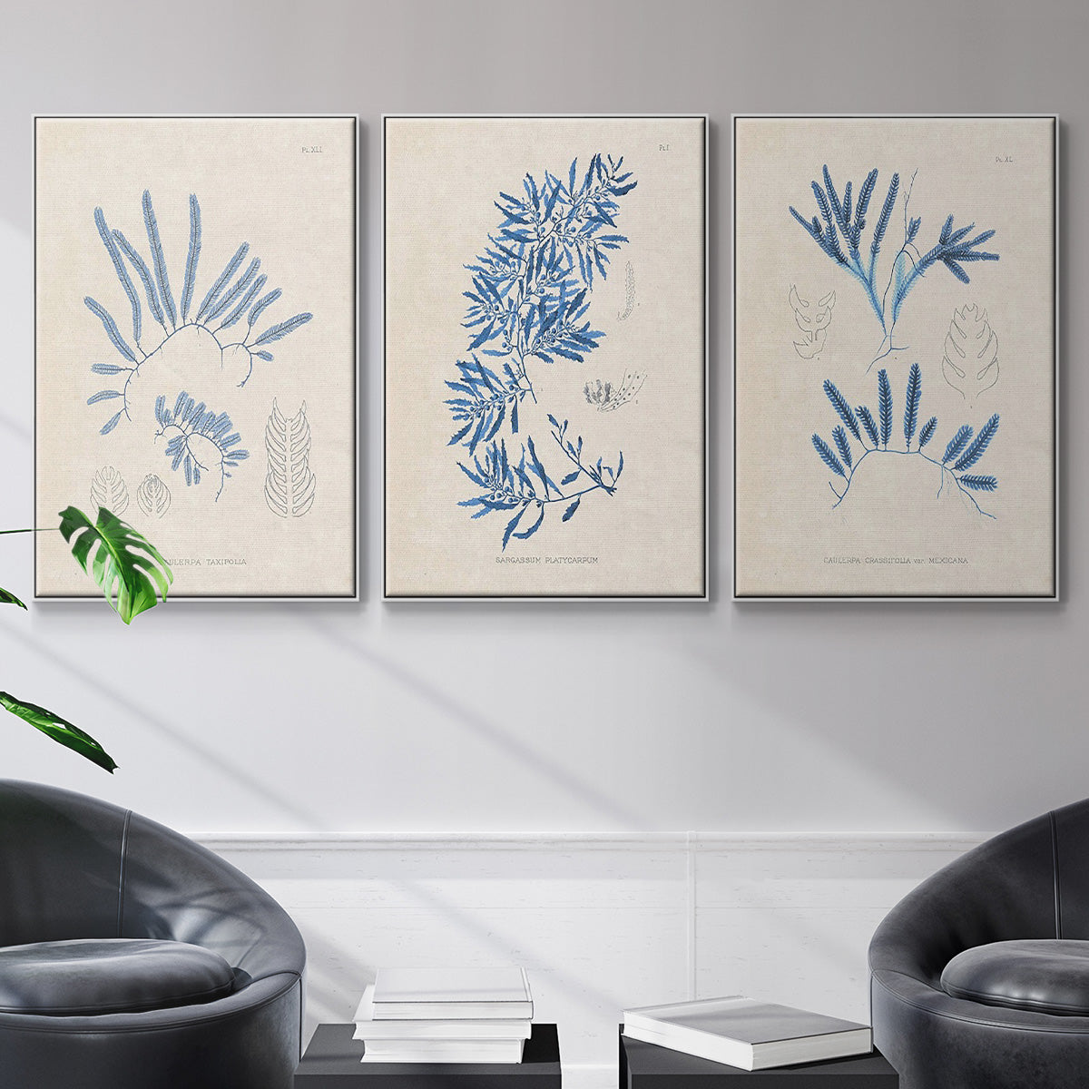 Blue Marine Algae I - Floater Framed Canvas Set