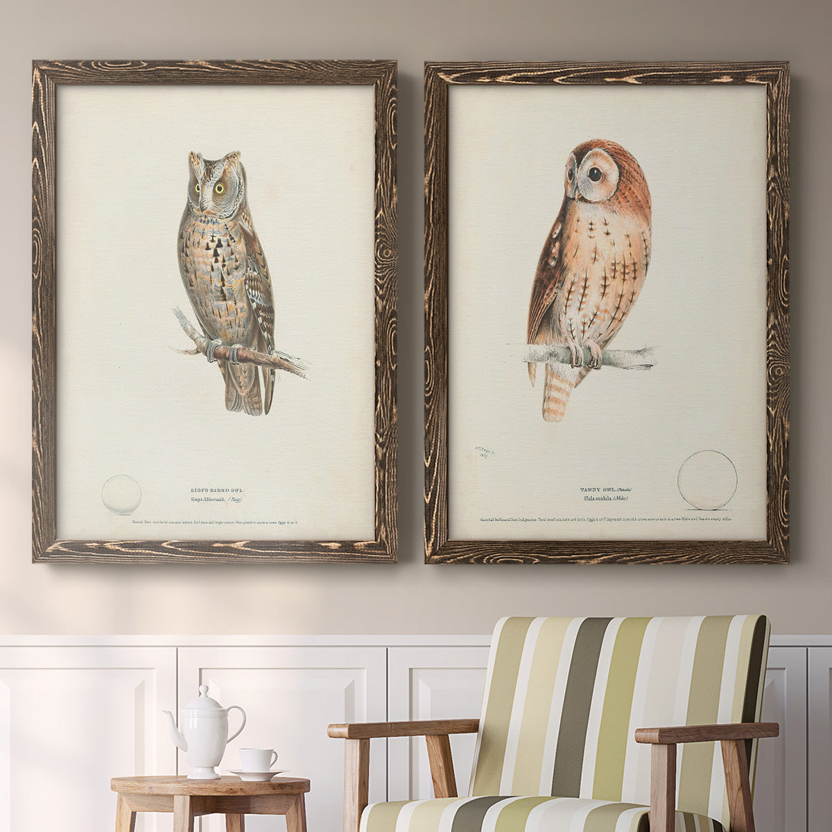 Set of two walnut barnwood framed canvas prints depicting two antique bird plate illustrations featuring vintage owl specimens perched in natural settings above a sideboard in a cozy sitting room.