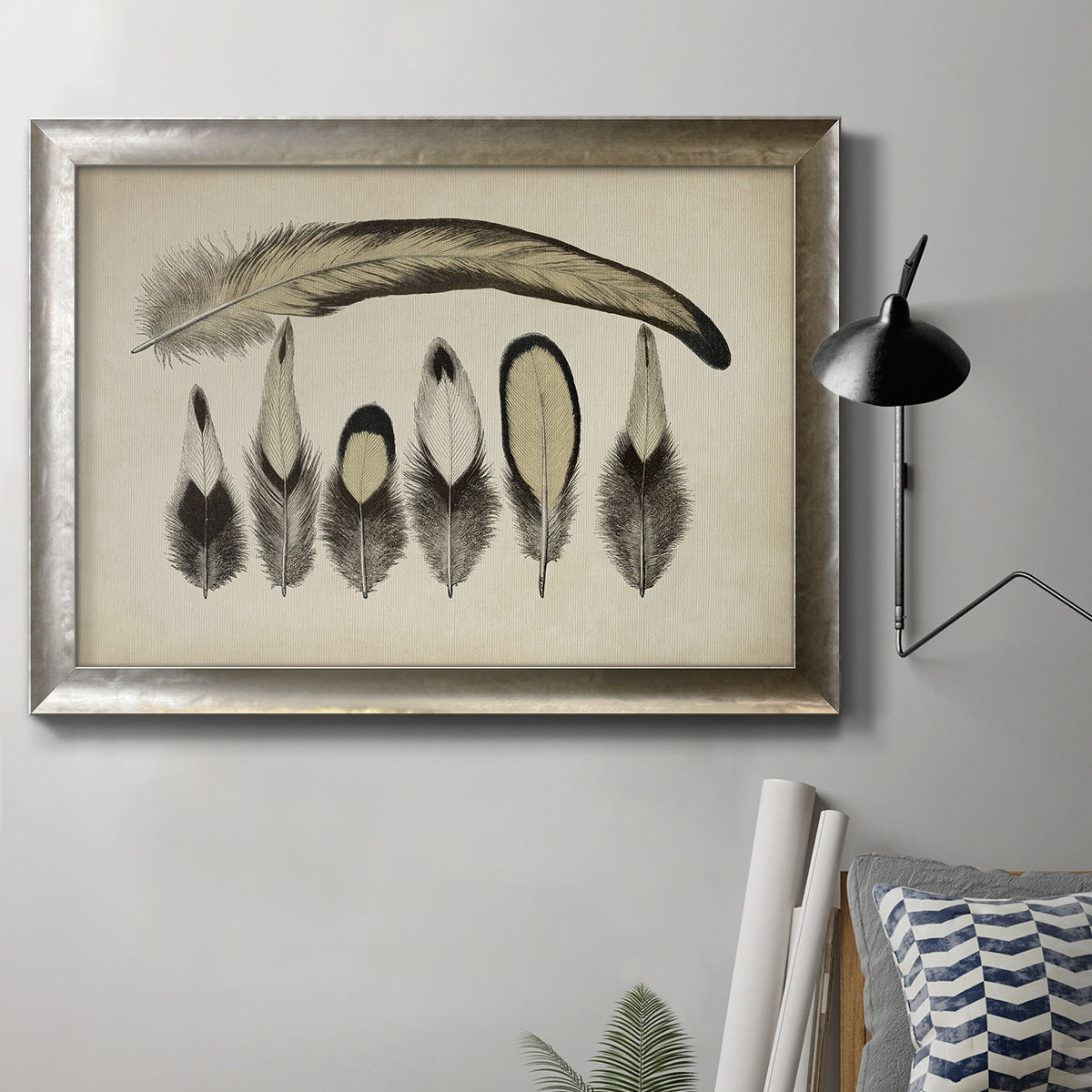 Vintage feather illustration artwork in an ornate mottled silver frame displayed in a neutral interior setting.