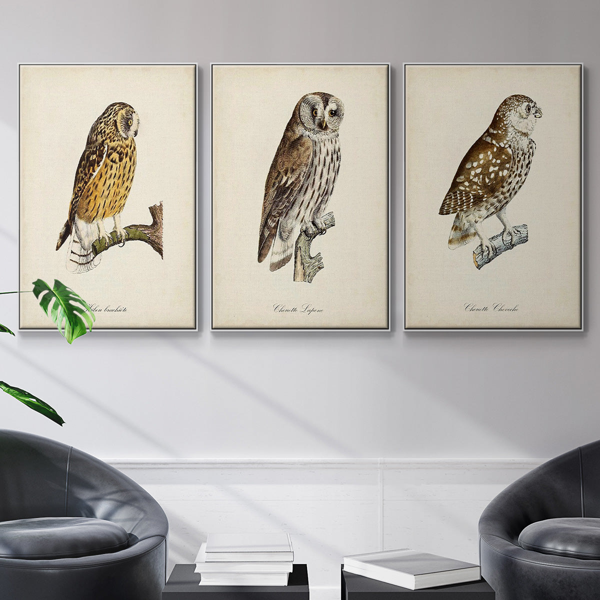 French Owls I - Floater Framed Canvas Set
