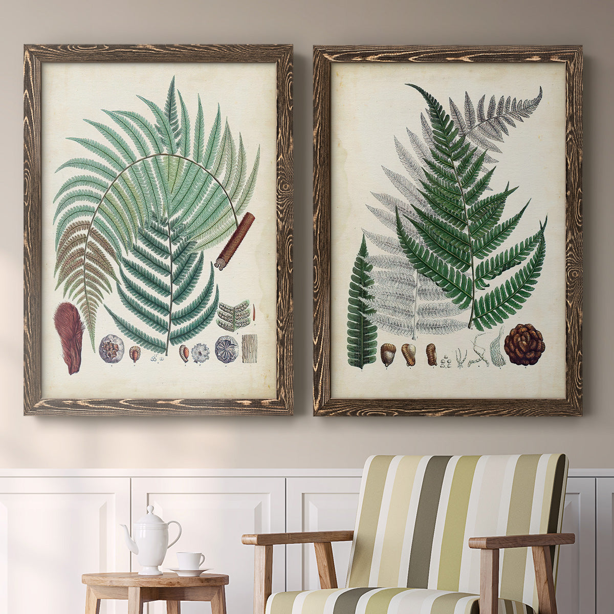 Set of two walnut barnwood framed canvas prints depicting two natural-history fern plates featuring vintage fern specimens with botanical details above a sideboard in a cozy sitting room.