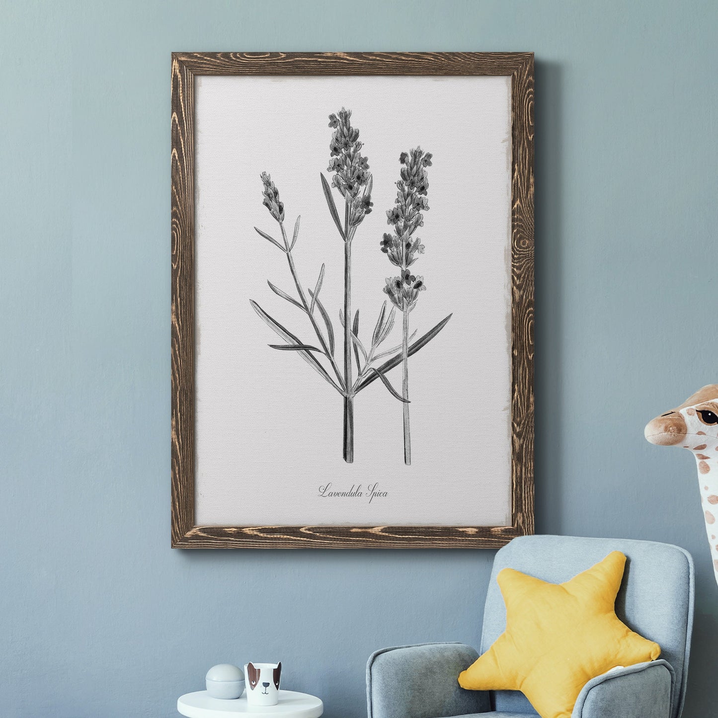 Simply Lavender - Barnwood Framed Canvas Print