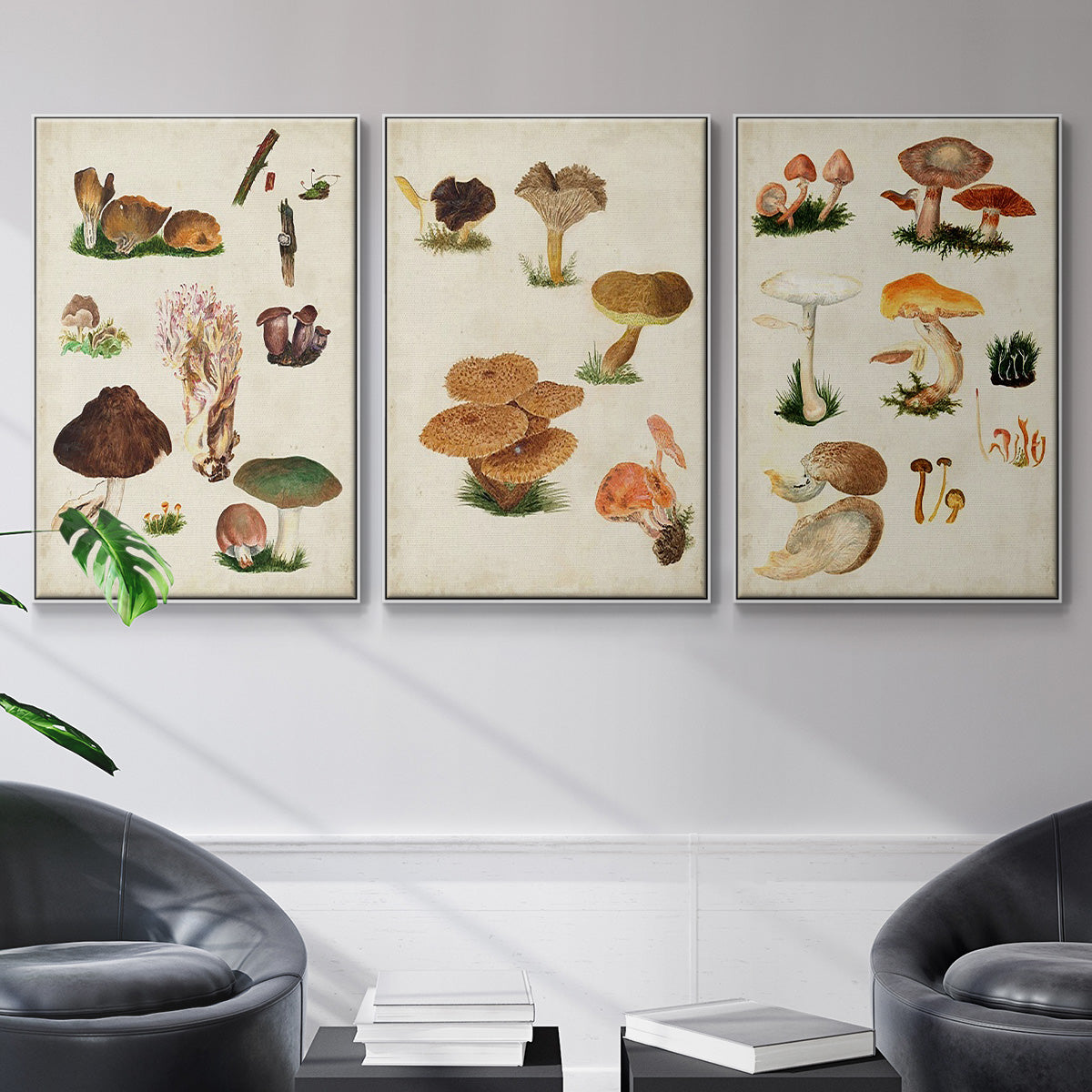 Mushroom Species IV - Floater Framed Canvas Set