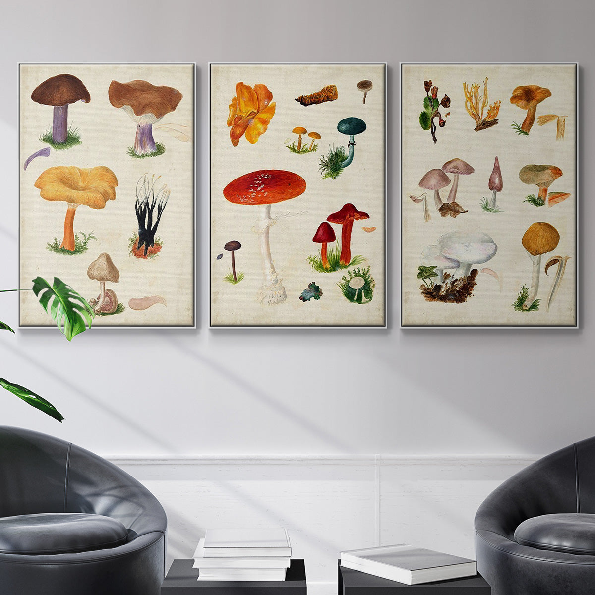 Mushroom Species VI - Floater Framed Canvas Set