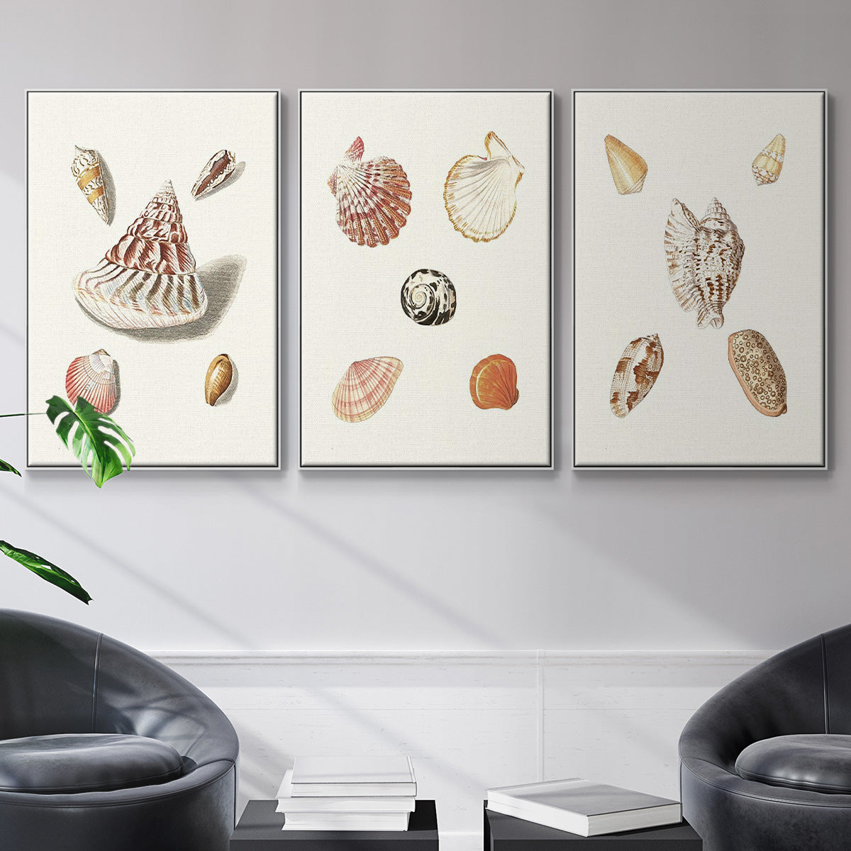 Pastel Knorr Shells VI - Floater Framed Canvas Set