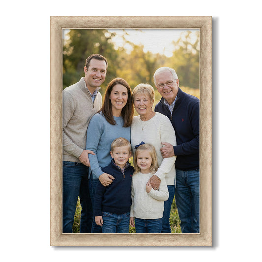 Ornate 7733 Mottled Silver traditional wood frame for custom canvas