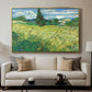 Green Wheat Field with Cypress, 1889 - Floater Framed Canvas Print