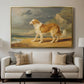 Rough-Coated Collie, 1809 - Floater Framed Canvas Print